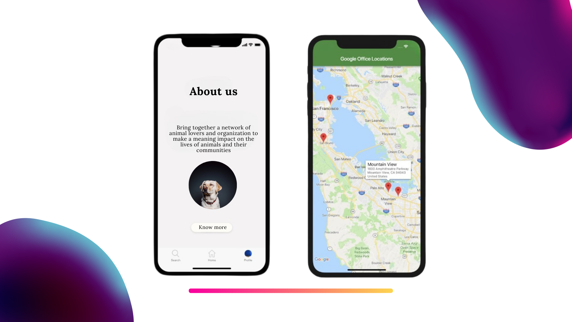 Screenshot of PawTime Mobile App